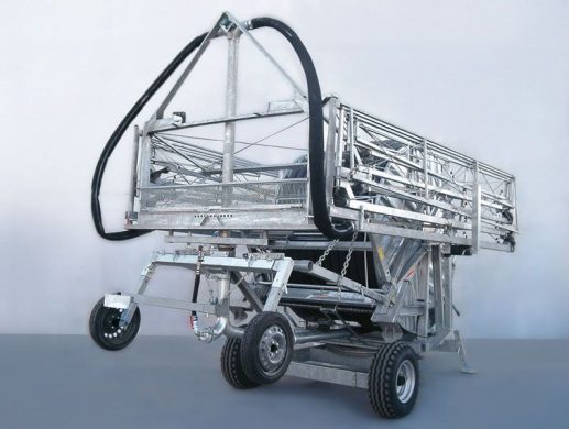 Serie - Raptor and Heron