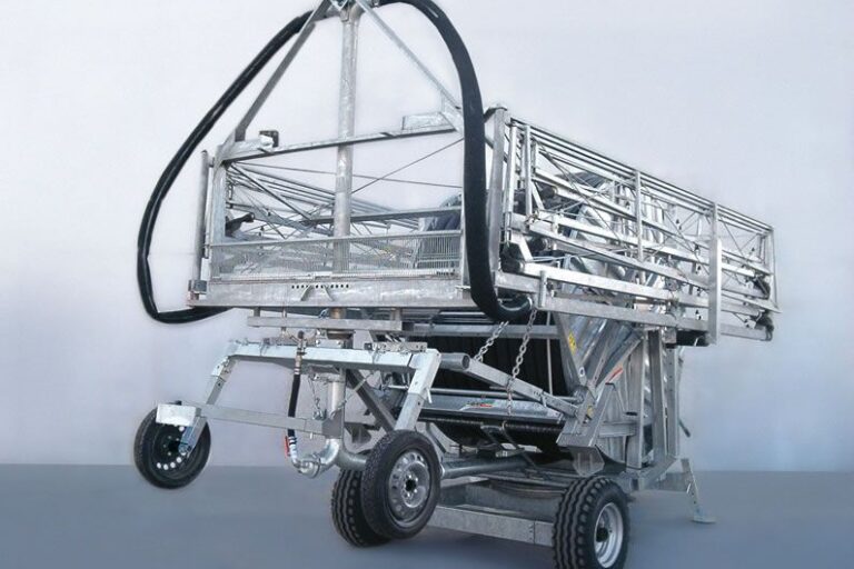 Serie - Raptor and Heron