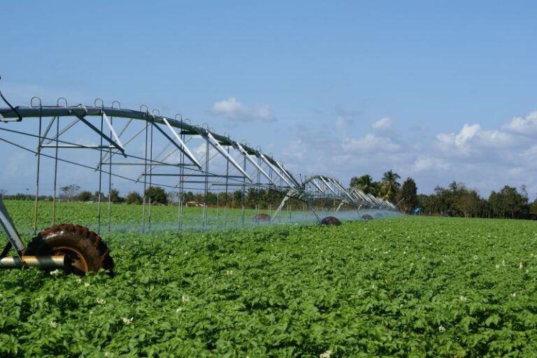g_1362248081Irriagri_005 PIVOT E LINEARI