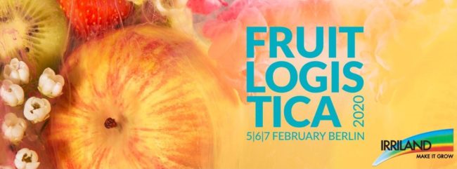 fruit Logotipo Fuit logistica, scritta in azzurro su immagine di frutta composta con mela, kiwi, fragola