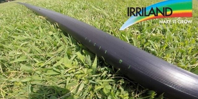 Immagine di un campo con erba ed un tubo per irrigazione