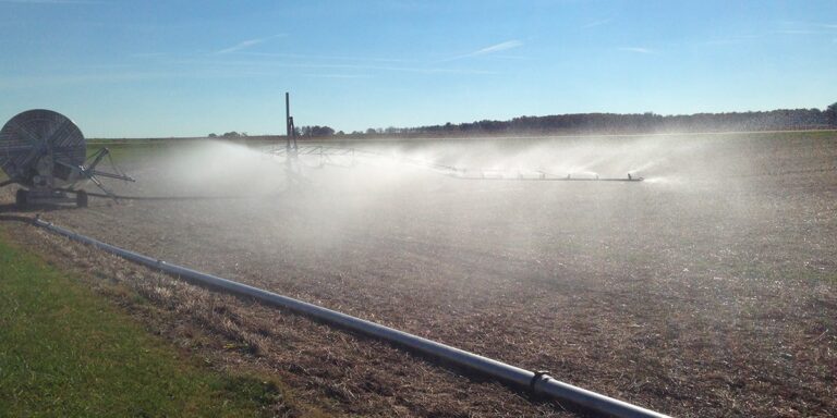 immagine di campo agricolo con irrigatore ali piovane in azione